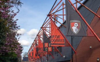 Outside Vitality Stadium showing flags.