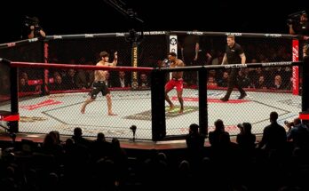 Octagon from UFC London