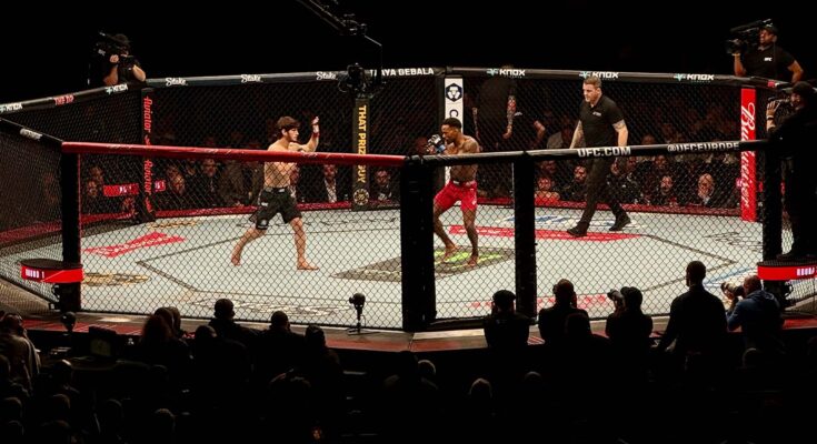 Octagon from UFC London